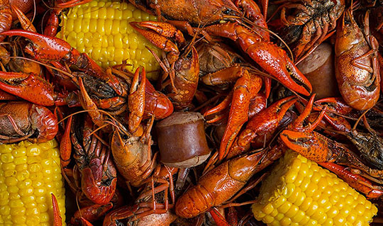 Dining at Cracking Crab Seafood Restaurant & Bar